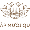 html-thapmuoiquan.pages.dev favicon